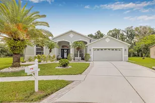 3842 Austin Range Dr, Land O Lakes, FL 34639 - Photo 1