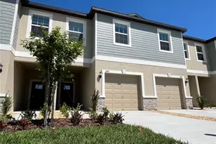 17651 Nectar Flume Dr, Land O Lakes, FL 34638 - Photo 1