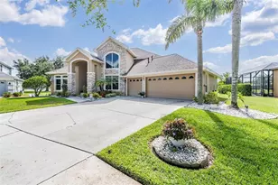 19119 Mandarin Grove Pl, Tampa, FL 33647 - Photo 1