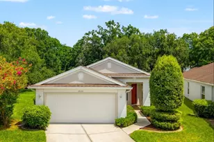 26315 Whirlaway Terrace, Wesley Chapel, FL 33544 - Photo 1