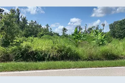 0 Sink Hole Road, Bartow, FL 33830 - Photo 1