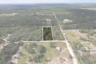 3582 W Carpenter Ct, Dunnellon, FL 34433 - Photo 1