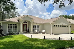 702 Berry Bramble Dr, Brandon, FL 33510 - Photo 1