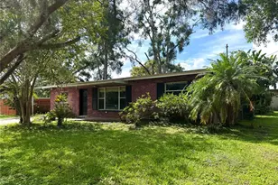 7618 Alvina St, Tampa, FL 33625 - Photo 1