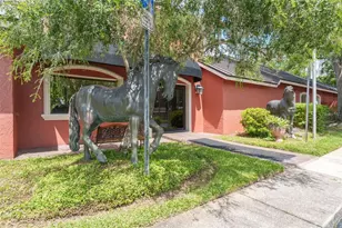 15100 Hutchison Rd, Tampa, FL 33625 - Photo 1