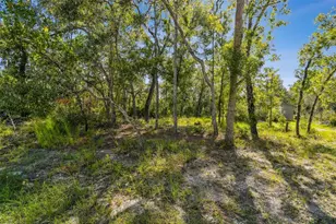 00 Maybird Ave, Weeki Wachee, FL 34613 - Photo 1