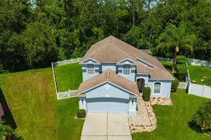 6411 Open Pasture Ct, Wesley Chapel, FL 33545 - Photo 1