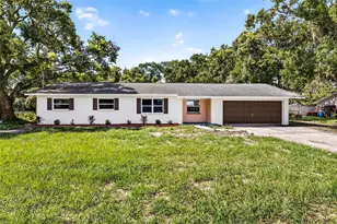 12415 Palm Tree Dr, Thonotosassa, FL 33592 - Photo 1