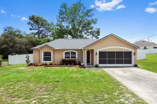 12218 Lamont Dr, Spring Hill, FL 34608 - Photo 1