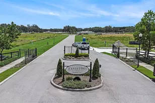 14264 Pine Straw Ct, Dover, FL 33527 - Photo 1