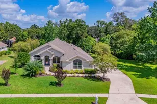 6022 Kestrel Point Ave, Lithia, FL 33547 - Photo 1