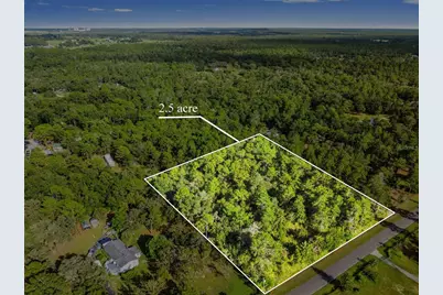 Salome Street, Brooksville, FL 34614 - Photo 1
