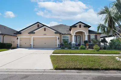 11753 Sunburst Marble Road, Riverview, FL 33579 - Photo 1
