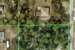 8323 Nuzum Rd, Weeki Wachee, FL 34613 - Photo 1