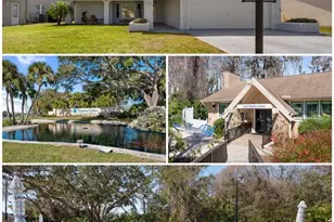 3948 Tarpon Pointe Cir, Palm Harbor, FL 34684 - Photo 1