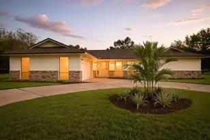 455 Hickory Nut Ave, Oldsmar, FL 34677 - Photo 1