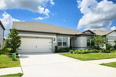 20798 Magnolia Creek Lane, Land O Lakes, FL 34638 - Photo 1