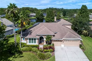 10553 Greencrest Dr, Tampa, FL 33626 - Photo 1