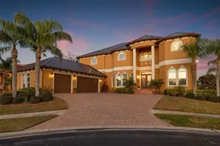 288 Mobbly Bay Dr, Oldsmar, FL 34677 - Photo 1