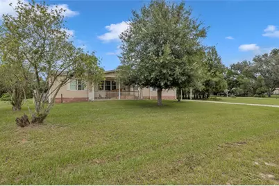 33907 Coddle Court, Wesley Chapel, FL 33543 - Photo 1