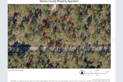 Tbd Foxglove Lane, Ocala, FL 34472 - Photo 1