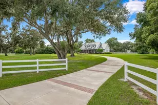 10101 Bryant Rd, Lithia, FL 33547 - Photo 1