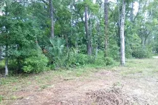 0 Salinas Ave New Port Richey Fl 34654 Ave, New Port Richey, FL 34654 - Photo 1