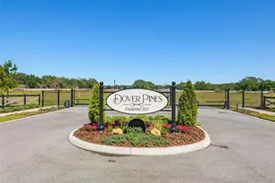 14282 Pine Straw Ct, Dover, FL 33527 - Photo 1