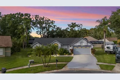 15101 Bald Eagle Street, Tampa, FL 33625 - Photo 1