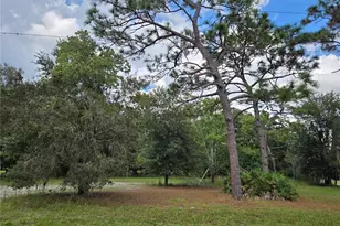 17901 Driftwood Ln, Lutz, FL 33558 - Photo 1