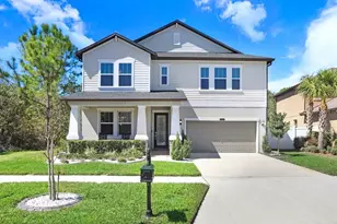 8721 Savory Walk Dr, Land O Lakes, FL 34637 - Photo 1