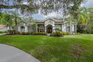 15801 Dawson Ridge Dr, Tampa, FL 33647 - Photo 1