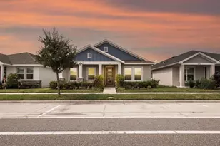 3633 Persimmon Park Dr, Wesley Chapel, FL 33543 - Photo 1