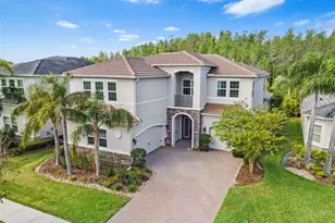 30900 Spruceberry Ct, Wesley Chapel, FL 33543 - Photo 1