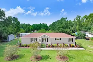 4219 Seaberg Rd, Zephyrhills, FL 33541 - Photo 1