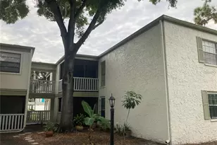 4611 W North B St, Tampa, FL 33609 - Photo 1
