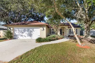 23517 Bellaire Loop, Land O Lakes, FL 34639 - Photo 1