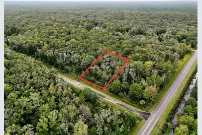 10615 Ruth Avenue, Hastings, FL 32145 - Photo 1