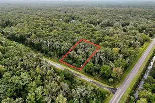 10615 Ruth Ave, Hastings, FL 32145 - Photo 1