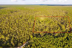 Nicatoon Retreat, Umatilla, FL 32784 - Photo 1