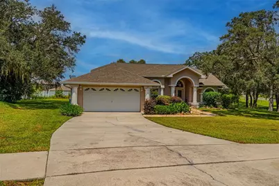 63 Forest Wood Court, Spring Hill, FL 34609 - Photo 1