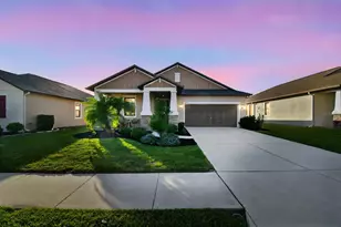 32135 Goddard Dr, Wesley Chapel, FL 33543 - Photo 1