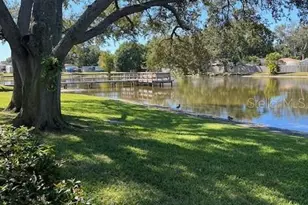 3823 N Oak Dr, Tampa, FL 33611 - Photo 1