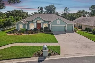 4703 Stone Hollow Ct, Valrico, FL 33596 - Photo 1
