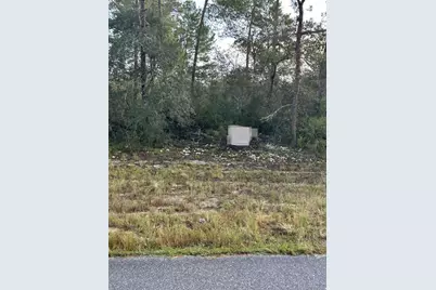 17213 SW 28th Avenue, Ocala, FL 34473 - Photo 1