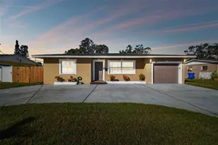 1101 75th Ave N, Saint Petersburg, FL 33702 - Photo 1