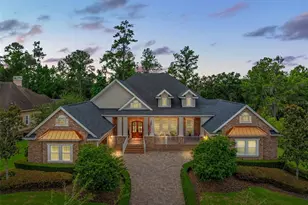 19500 Sterling Bluff Way, Brooksville, FL 34601 - Photo 1