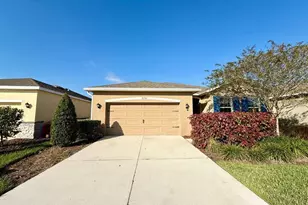 31591 Tansy Bnd, Wesley Chapel, FL 33545 - Photo 1