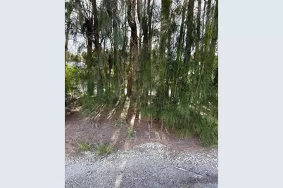 0 Jills Lane, Aripeka, FL 34679 - Photo 1