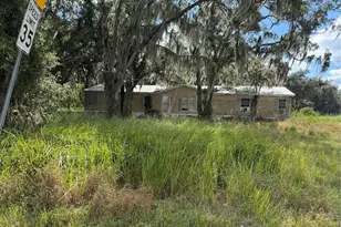 3721 Porter Rd, Lithia, FL 33547 - Photo 1